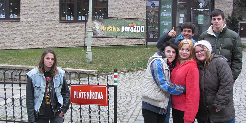 parazoo